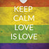 Keep Calm Love Is Love iPhone X Pro Case