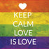 Keep Calm Love Is Love PS4 Controller Skin