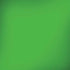 Kelly Green iPhone X Pro Case