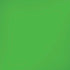 Kelly Green iPhone XR Pro Case