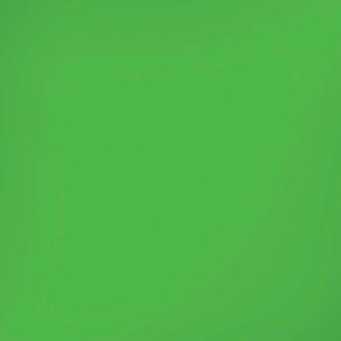Kelly Green iPhone XR Skin