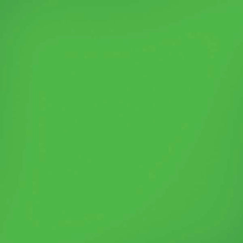 Kelly Green iPhone XS Pro Case