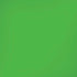 Kelly Green iPhone XS Pro Case