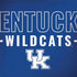 University of Kentucky Wildcats Notebook 9 Pro 13in (2017) Skin