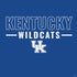 University of Kentucky Wildcats PS4 Slim Skin