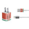 Kenya Flag Distressed iPhone Charger (5W USB) Skin