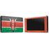 Kenya Flag Distressed Nintendo Switch Bundle Skin