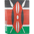 Kenya Flag Distressed PS5 Bundle Skin