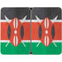 Kenya Flag Distressed Surface Duo Skin