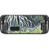 Hiroshige Kirifuri Falls in Kurokawa Mountain Steam Deck Handheld Gaming Computer Skin