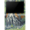 Hiroshige Kirifuri Falls in Kurokawa Mountain Surface Go Skin