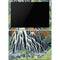 Hiroshige Kirifuri Falls in Kurokawa Mountain Surface Pro 6 Skin