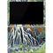 Hiroshige Kirifuri Falls in Kurokawa Mountain Surface Pro 7 Skin