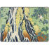 Hiroshige Kirifuri Falls in Kurokawa Mountain Surface Pro 9 Skin
