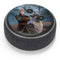 Disney Frozen II Kristoff and Sven Amazon Echo Dot Skin