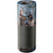 Disney Frozen II Kristoff and Sven Amazon Echo Skin