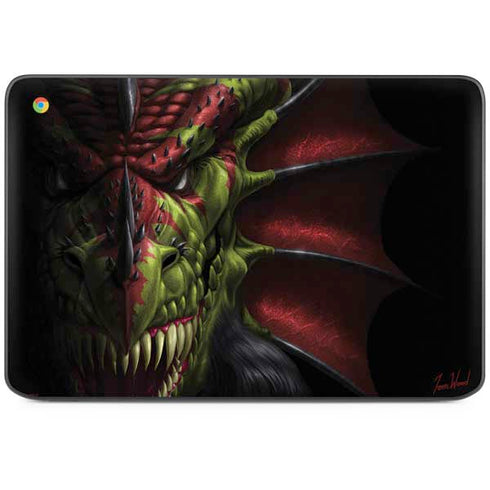 Lair of Shadows Dragon by Tom Wood HP Chromebook Skin