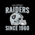 NFL Las Vegas Raiders Helmet Moto E5 Play Skin