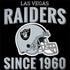NFL Las Vegas Raiders Helmet HP Spectre Skin