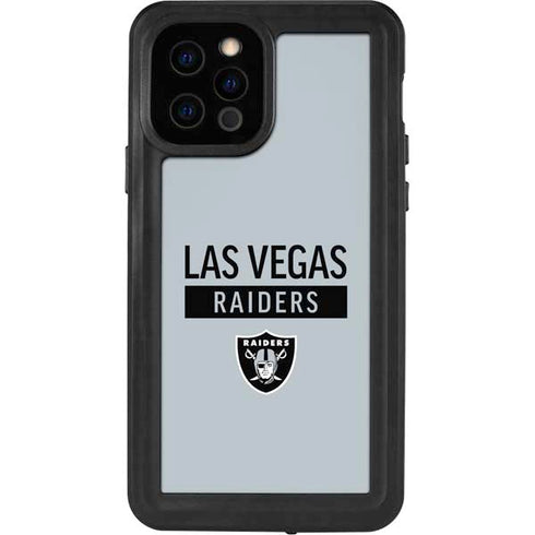 NFL Las Vegas Raiders Silver Performance Series iPhone 12 Pro Waterproof Case