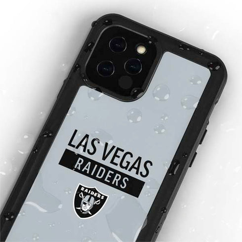 NFL Las Vegas Raiders Silver Performance Series iPhone 12 Pro Waterproof Case