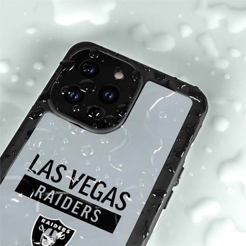 NFL Las Vegas Raiders Silver Performance Series iPhone 14 Pro Max Waterproof Case