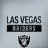 NFL Las Vegas Raiders Silver Performance Series iPhone X Skin