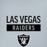 NFL Las Vegas Raiders Silver Performance Series iPhone XR Skin