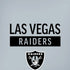 NFL Las Vegas Raiders Silver Performance Series iPhone XS Skin