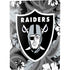 NFL Las Vegas Raiders Tropical Print PS5 Bundle Skin