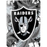 NFL Las Vegas Raiders Tropical Print PS5 Console Skin
