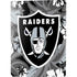 NFL Las Vegas Raiders Tropical Print PS5 Digital Edition Console Skin