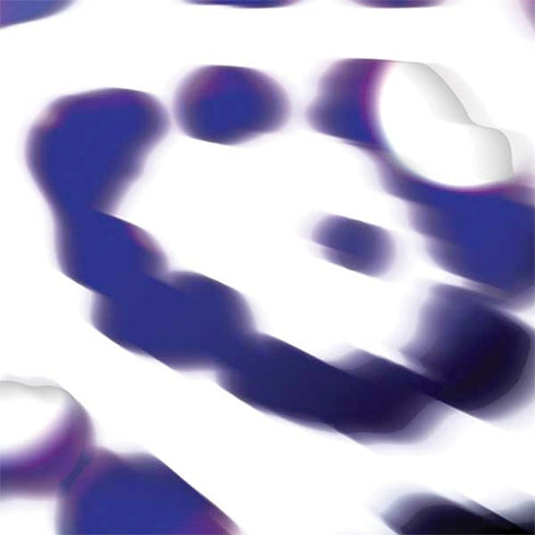 Lavish Leopard Nintendo 2DS XL (2017) Skin