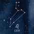 Leo Constellation Nintendo 2DS XL (2017) Skin