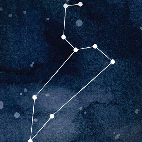 Leo Constellation iPhone X Skin