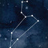 Leo Constellation iPhone X Skin