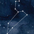 Leo Constellation iPhone XR Skin