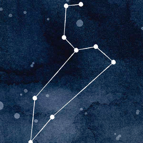 Leo Constellation iPhone XS Max Skin