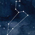 Leo Constellation iPhone XS Skin