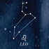 Leo Constellation Moto E5 Play Skin
