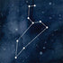 Leo Constellation Notebook 9 Pro 13in (2017) Skin