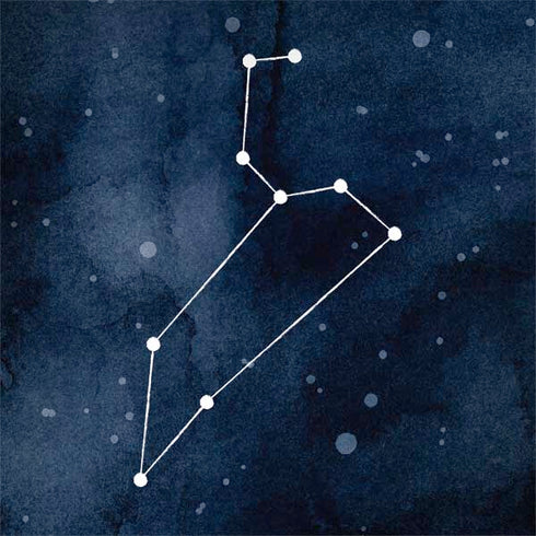 Leo Constellation Surface Book 2 13.5in Skin