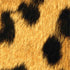 Leopard Animal Print Nintendo 2DS XL (2017) Skin