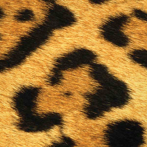 Leopard Animal Print iPhone XS Pro Case
