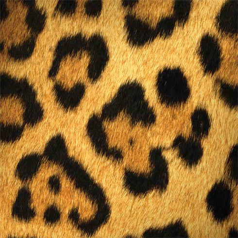 Leopard Animal Print Legion Y720 Skin