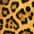 Leopard Animal Print PS4 Console and Controller Bundle Skin