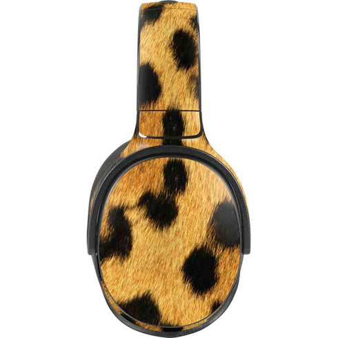 Leopard Animal Print Skullcandy Venue Skin