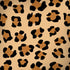 Leopard Spots Print Moto G6 Skin