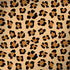 Leopard Spots Print Surface Book 2 13.5in Skin
