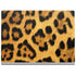 Leopard Animal Print Surface Book 2 13.5in Skin